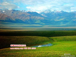 新疆當地優質旅行社推薦及國內旅游業務指南